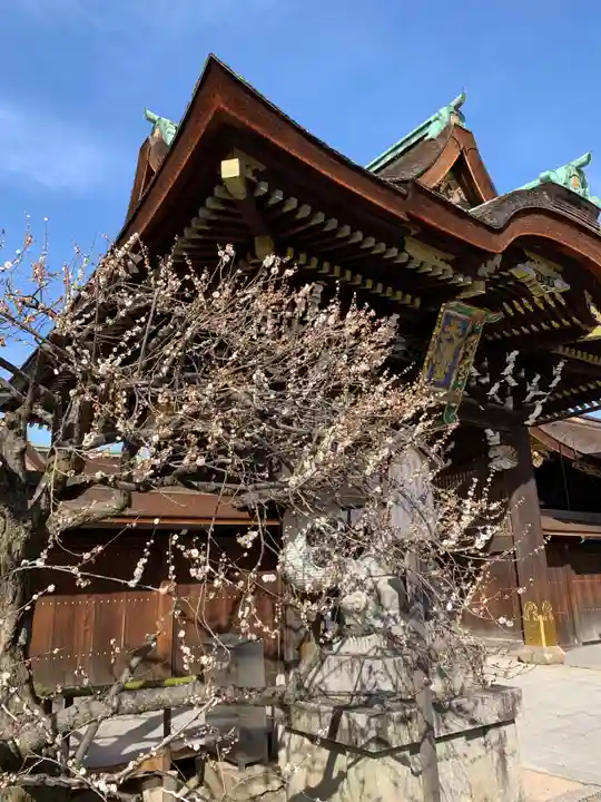 北野天満宮の自然