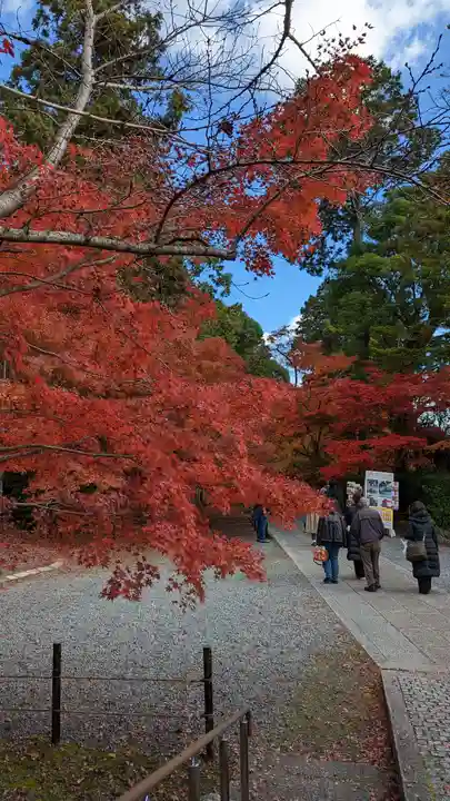 光明寺(粟生光明寺)(京都府)