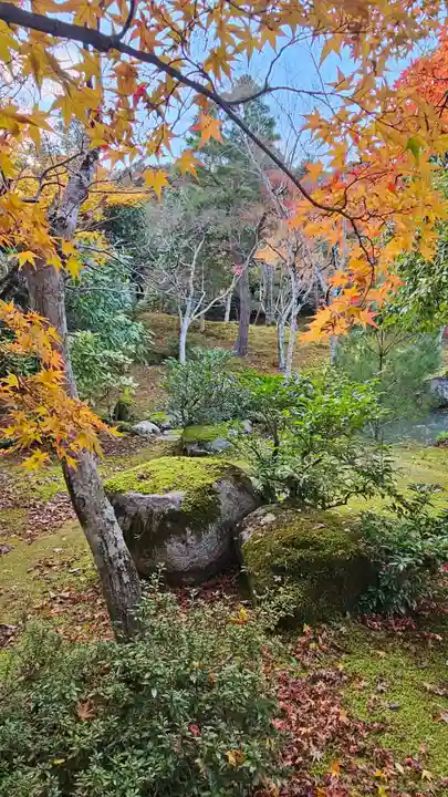 天龍寺(京都府)