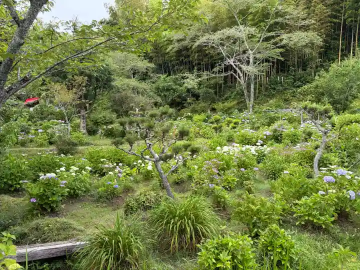 極楽寺(静岡県)