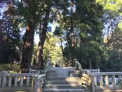 櫻井神社(福岡県)