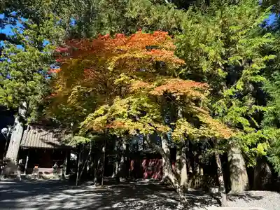 北口本宮冨士浅間神社(山梨県)
