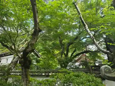 宝性院（石山寺寺務所）(滋賀県)