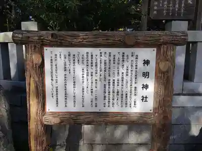 天津神明宮(千葉県)