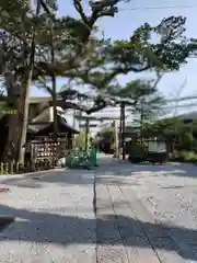 御霊神社(神奈川県)