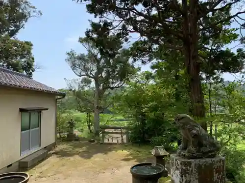 熊野神社の狛犬