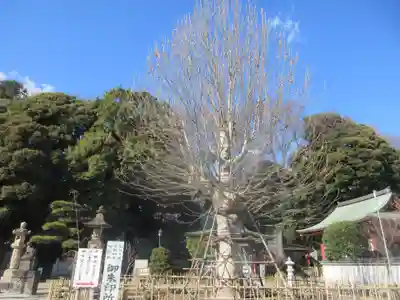 瀧泉寺（目黒不動尊）(東京都)