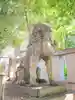 渋谷氷川神社の狛犬