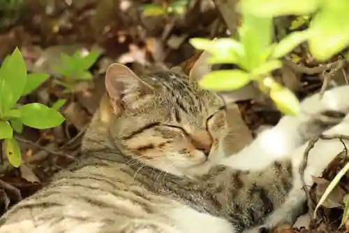 玉野御嶽神社(愛知県)