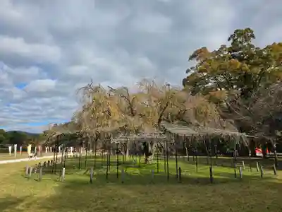 賀茂別雷神社（上賀茂神社）(京都府)