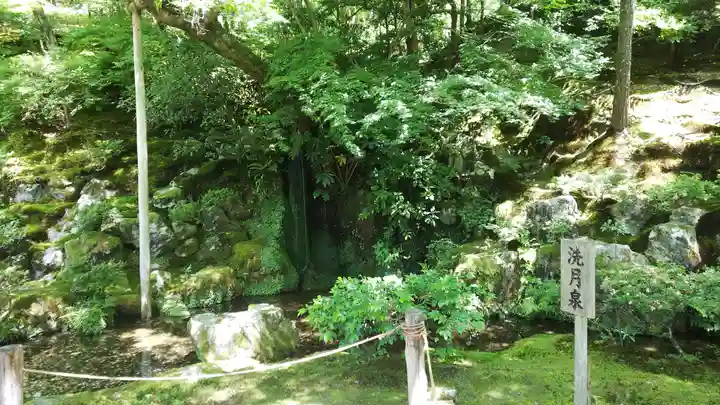 慈照寺(慈照禅寺・銀閣寺)の庭園