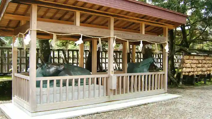 出雲大社(島根県)