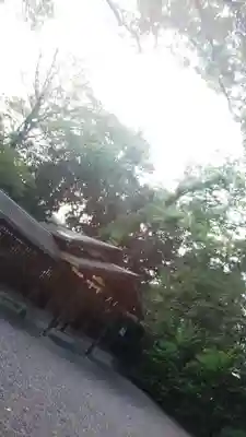 西四条斎宮 西院野々宮神社(春日神社御旅所)の本殿・本堂