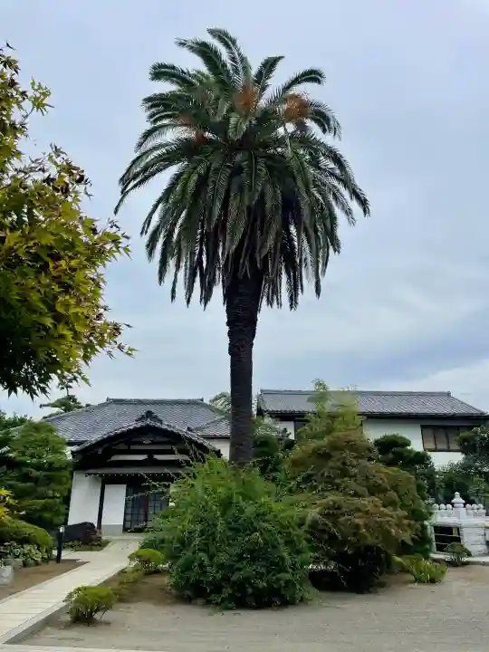 本瑞寺(神奈川県)