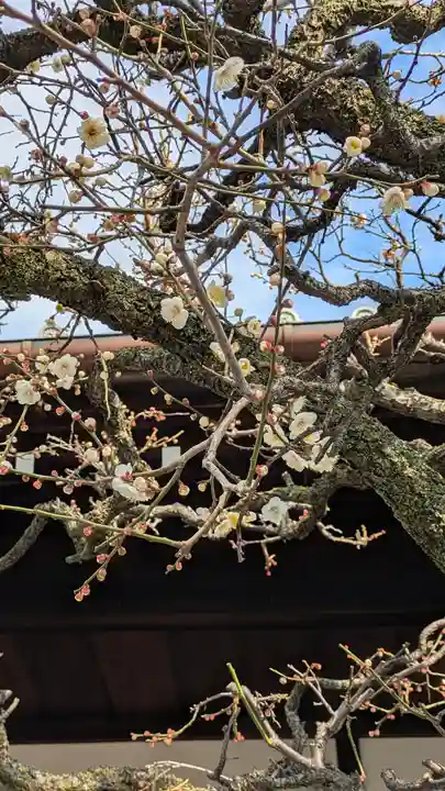 弘誓寺(京都府)