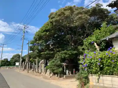 東福寺(千葉県)