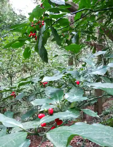 伊勢神宮外宮（豊受大神宮）(三重県)