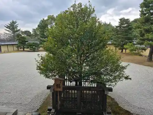 大覚寺(京都府)