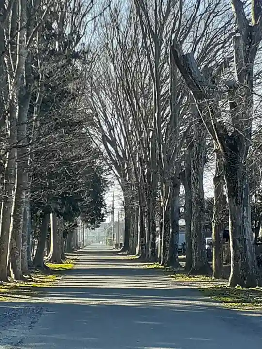 大宮神社(茨城県)