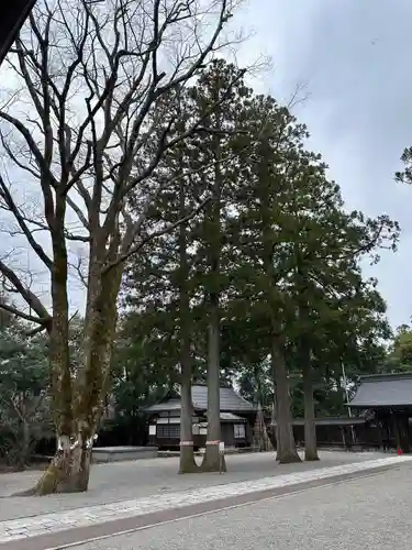 雄山神社前立社壇(富山県)