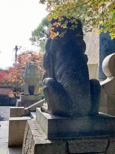 大雲院の狛犬