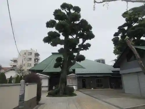 東光寺(東京都)