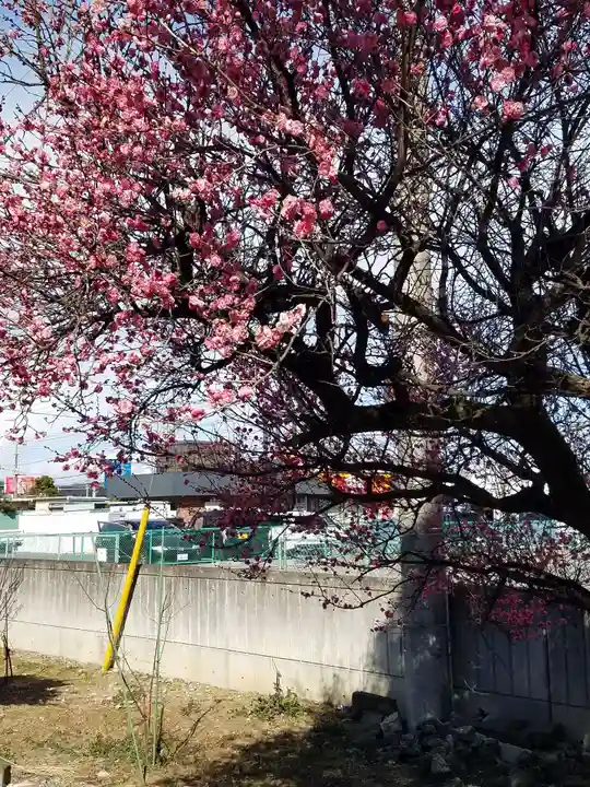 生出塚神社の自然