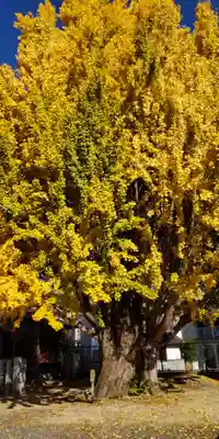 八大龍王辨財天(京都府)