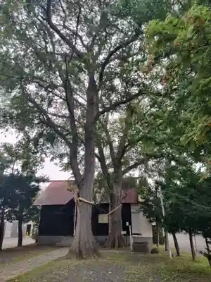 中の島神社(北海道)
