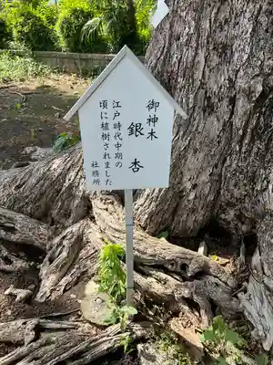 五社神社(神奈川県)