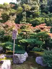 知恩院(京都府)