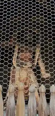 高幡不動尊 金剛寺の像