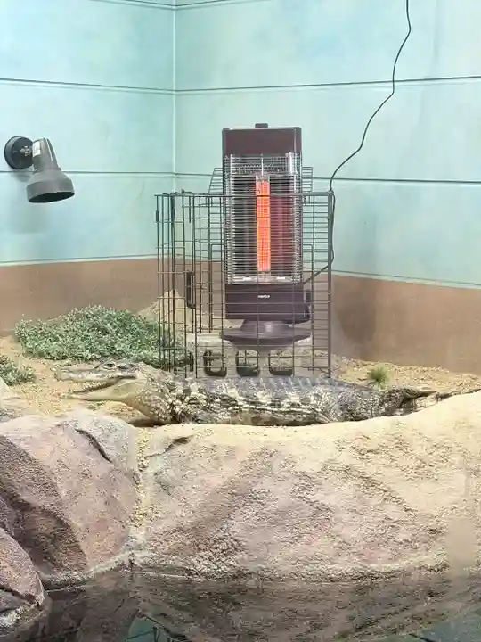 草戸稲荷神社(広島県)