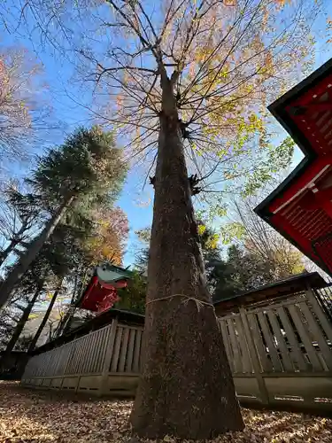 小野神社の自然
