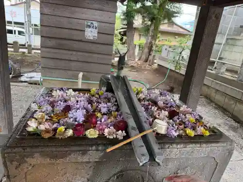 上野総社神社(群馬県)