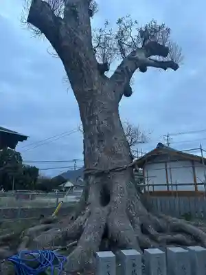 三会温泉神社(長崎県)