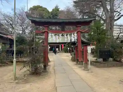 本太氷川神社(埼玉県)