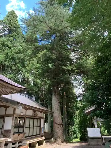 儛草神社のその他建物