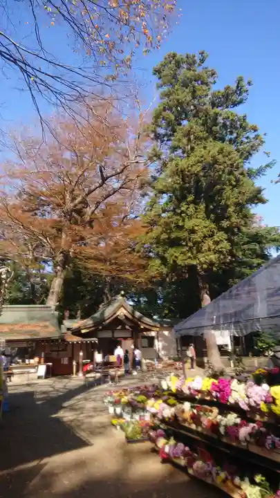 一言主神社のその他建物