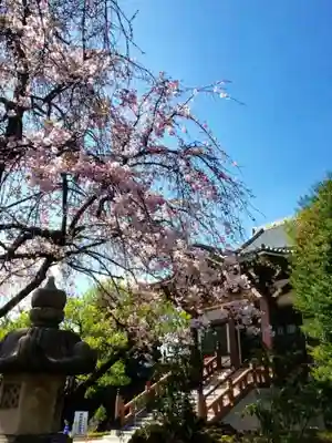 最勝寺(東京都)