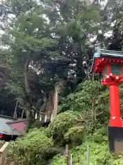 江島神社の自然