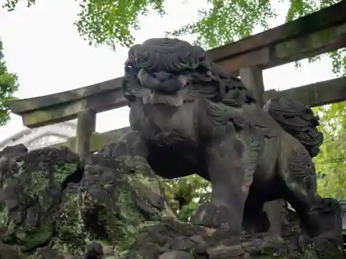 牛嶋神社の狛犬