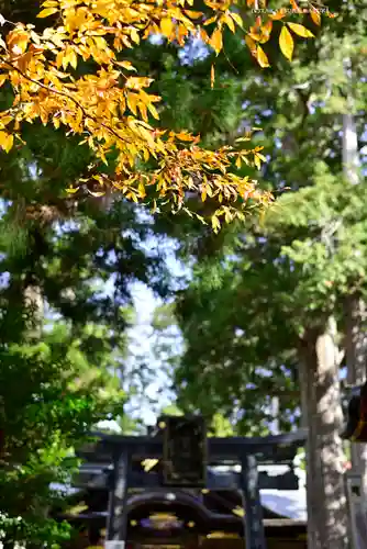 三峯神社(埼玉県)