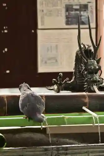 宇都宮二荒山神社(栃木県)