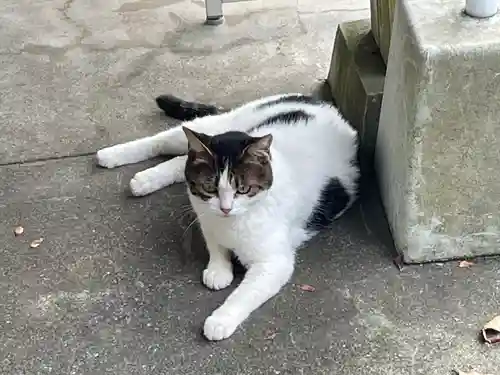皇大神宮（烏森神社）(神奈川県)