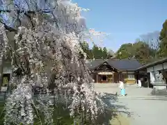 足羽神社の建物その他