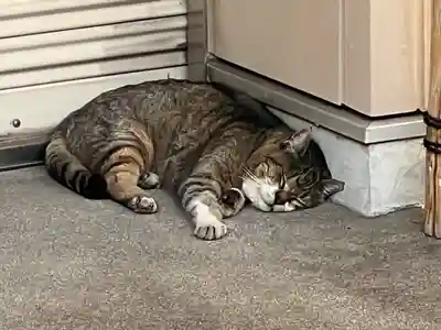 白金氷川神社(東京都)