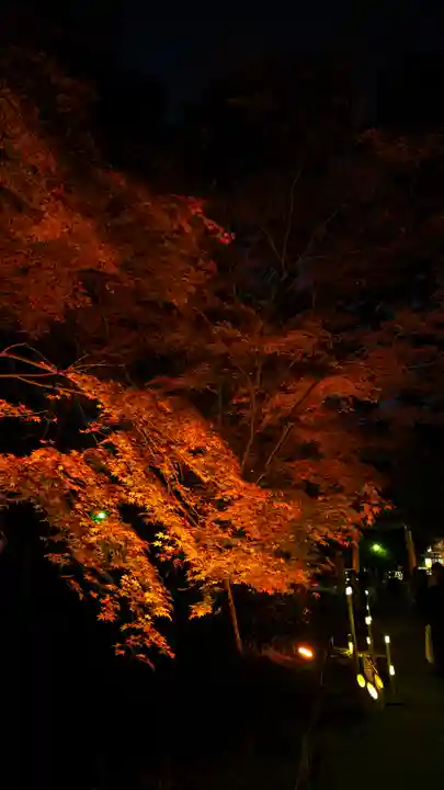 賀茂御祖神社(下鴨神社)(京都府)