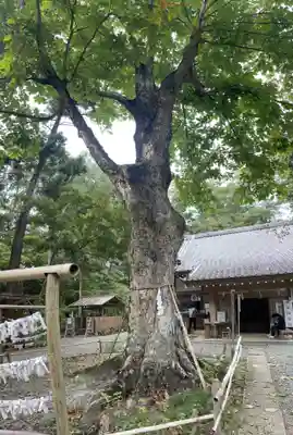 小御門神社(千葉県)