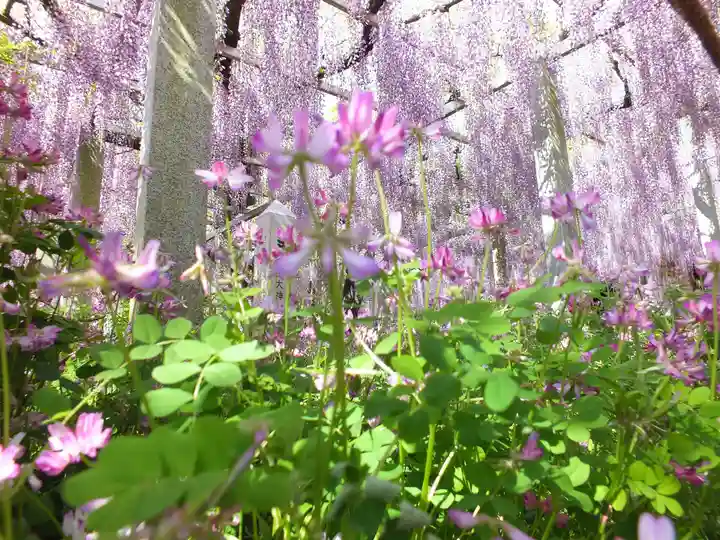 三大神社(滋賀県)